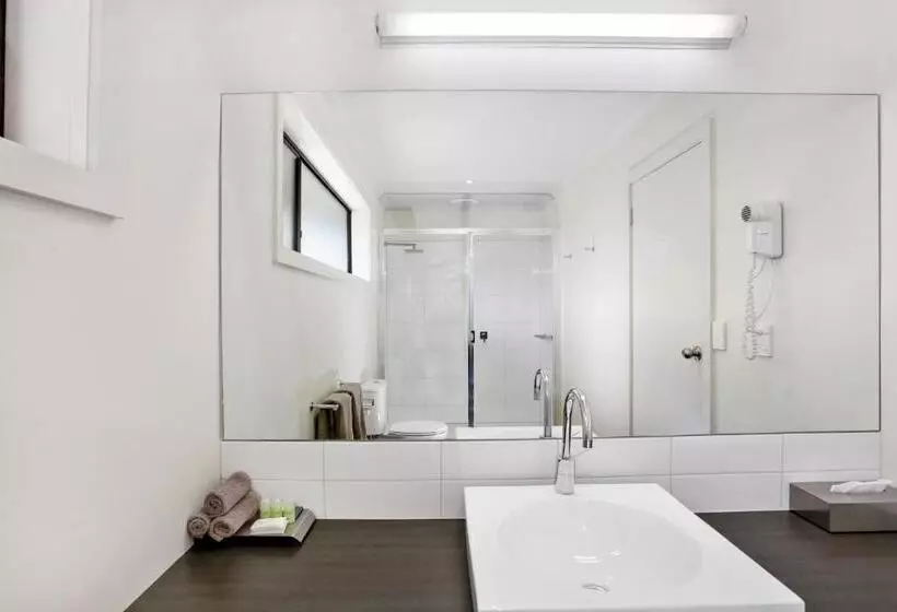 اتاق لوکس با تخت بزرگ, Elm Tree Motel