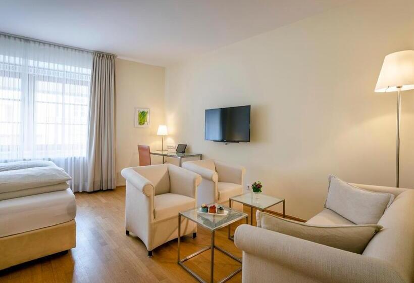 高级工作室, Boutique Hotel Hauser