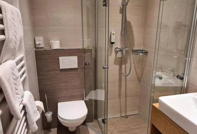 اتاق استاندارد یک تخته با بالکن, Dei Hotel Schönblick