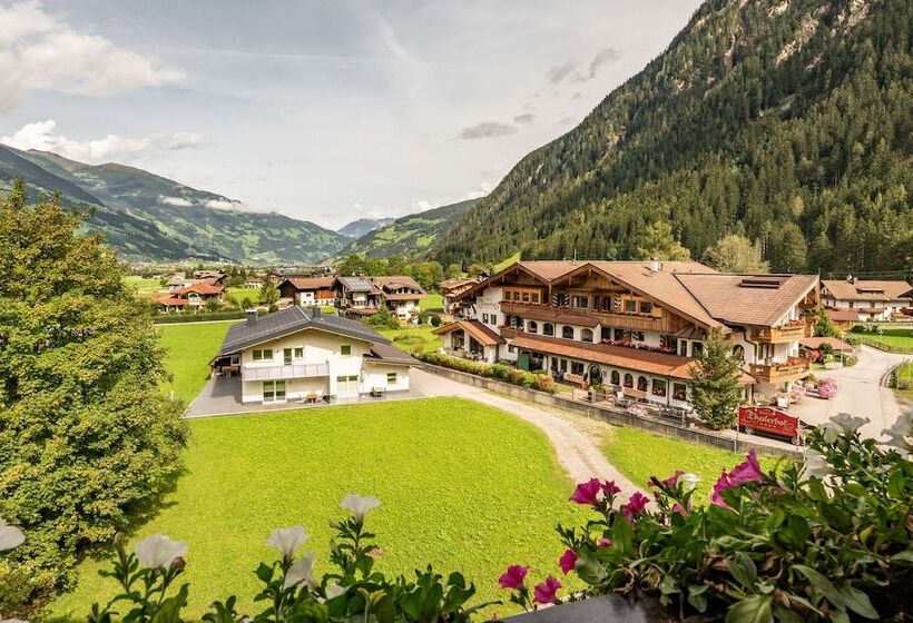 Семейный Номер Вид на Горы, Pramstraller