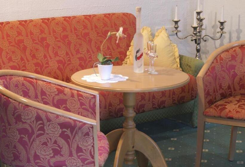 سوییت جونیور, Sporthotel Xander