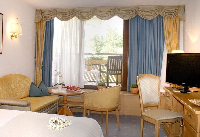 اتاق سوپریور با بالکن, Sporthotel Xander