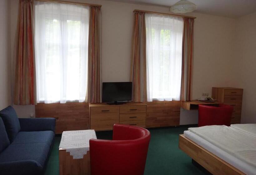 חדר סטנדרט, Donau Rad Hotel Wachauerhof