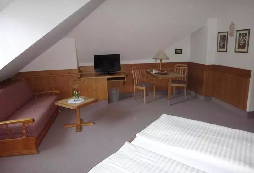 スタンダードルーム, Donau Rad Hotel Wachauerhof