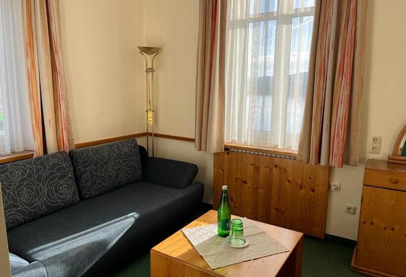 スタンダードルーム, Donau Rad Hotel Wachauerhof
