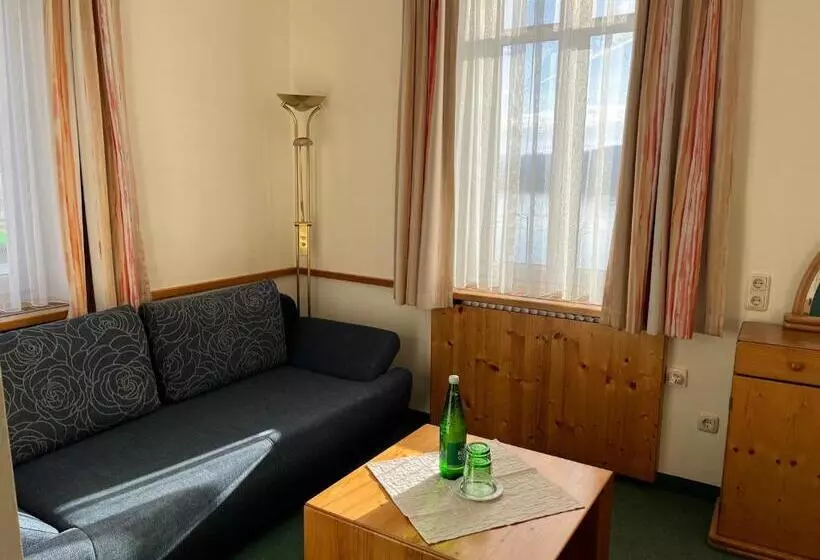 スタンダードルーム, Donau Rad Hotel Wachauerhof