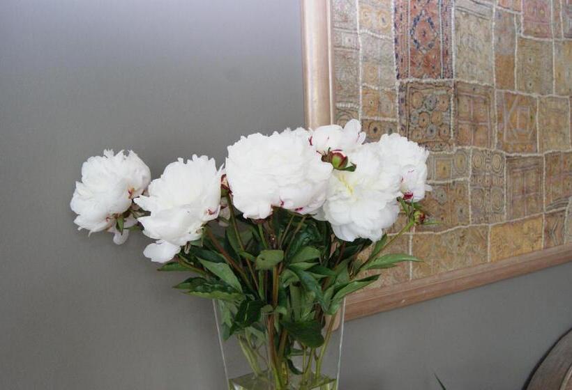 스탠다드 룸, Les Arcades