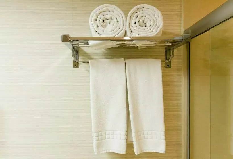デラックスルーム, Hotel Golden Park Internacional Foz & Convenções By Nacional Inn