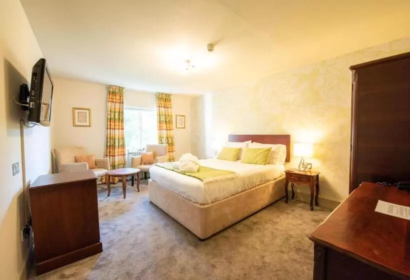 Standard Room, The Falcondale At Lampeter