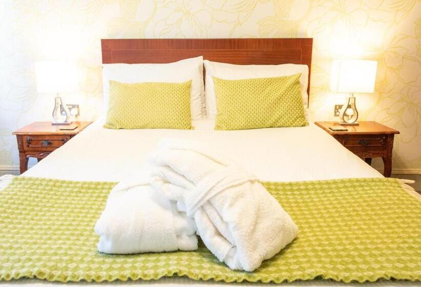 スタンダードルーム, The Falcondale At Lampeter