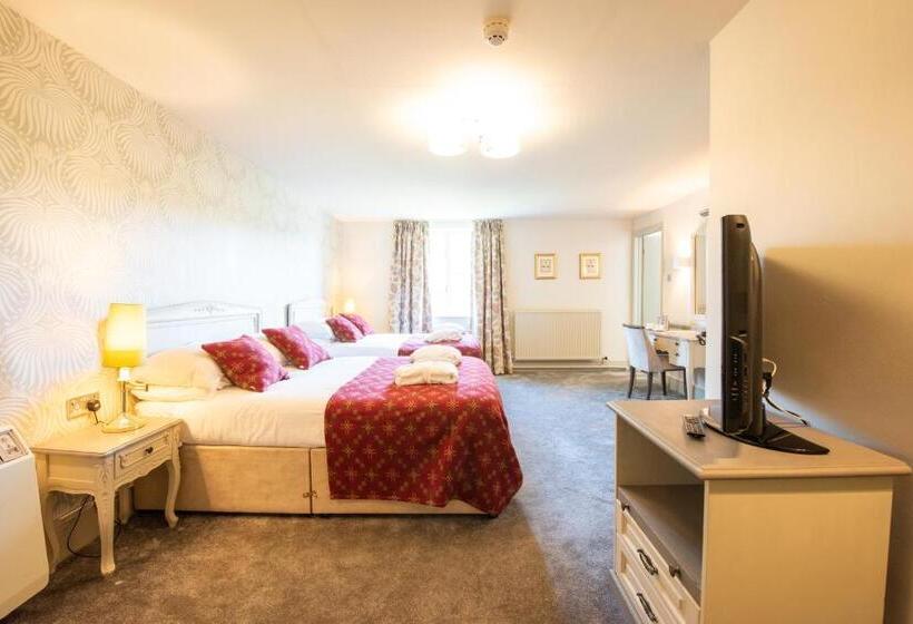 ガーデンビュースタンダードルーム, The Falcondale At Lampeter