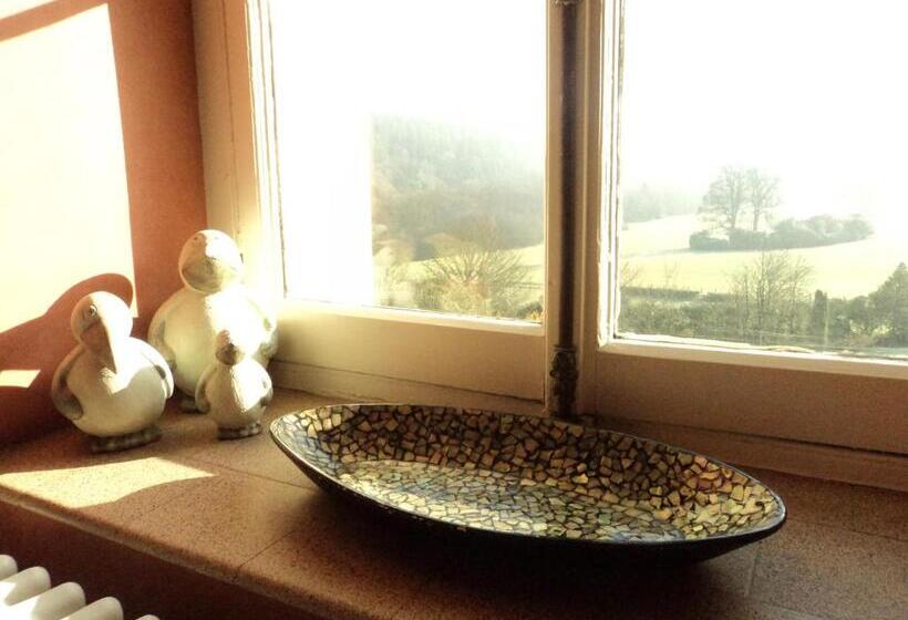 수피리어 룸 가든 전망, The Falcondale At Lampeter