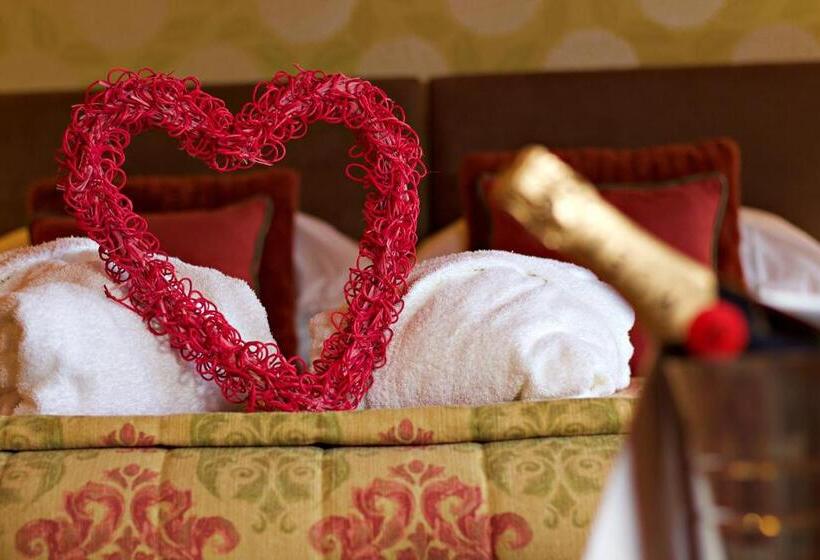 ガーデンビュースーペリアールーム, The Falcondale At Lampeter