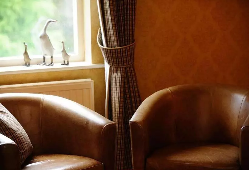 Standard Room, The Falcondale At Lampeter