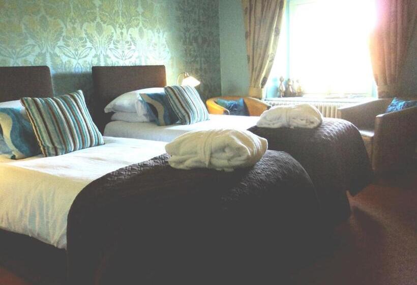 スタンダードルーム, The Falcondale At Lampeter