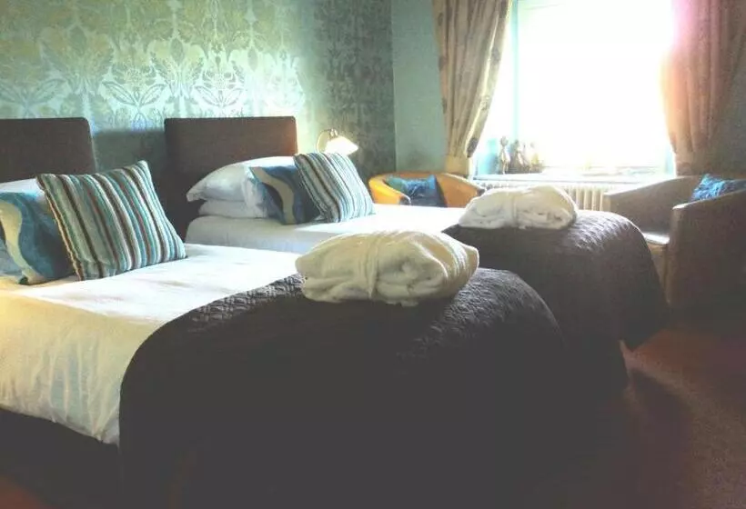 Standard Room, The Falcondale At Lampeter