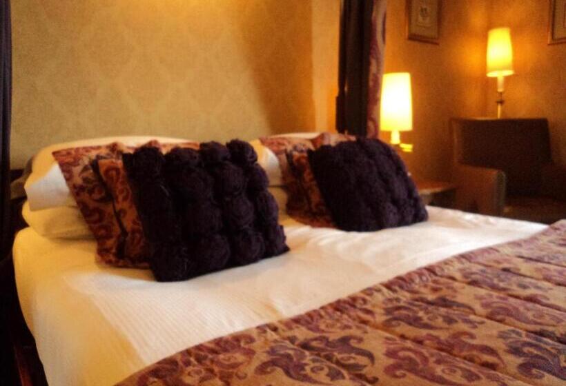 スタンダードルーム, The Falcondale At Lampeter