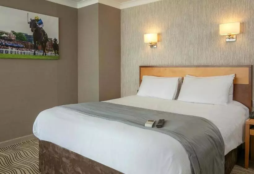 Superior Kolmen Hengen Huone, Best Western Heath Court