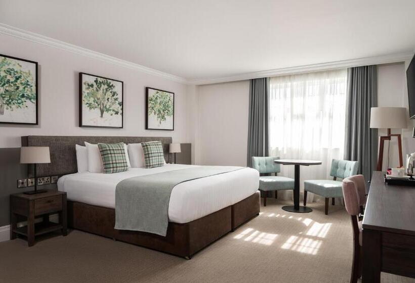 豪华房间, Ivanhoe Inn And