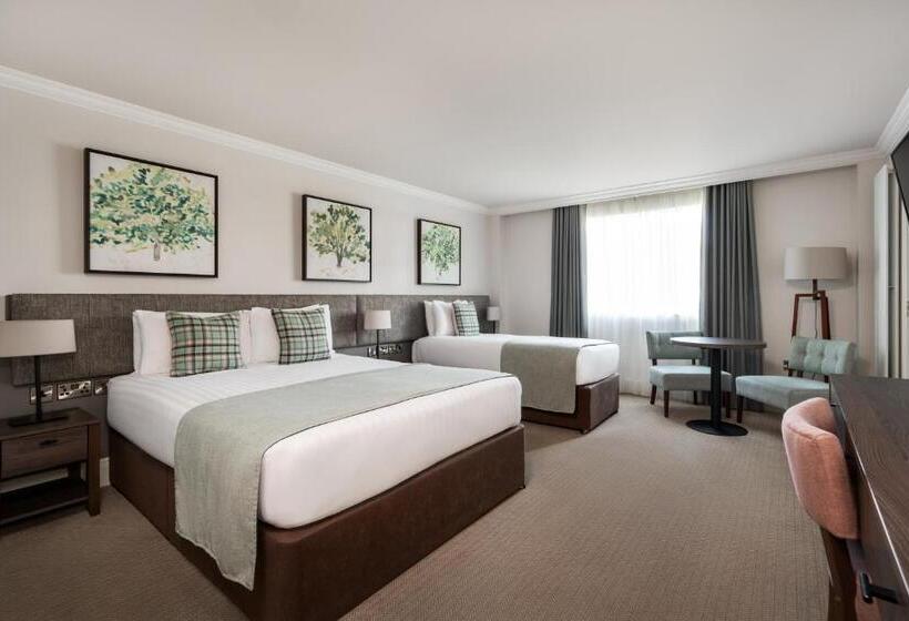 豪华房间, Ivanhoe Inn And