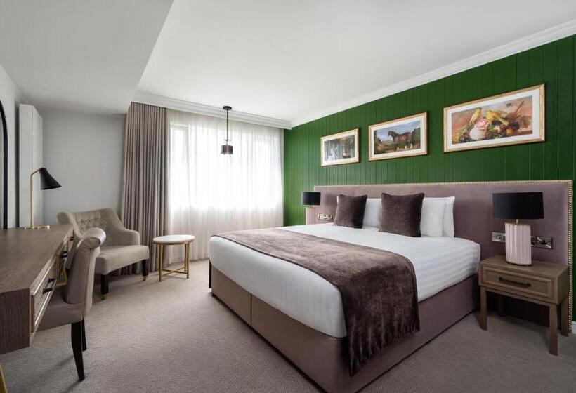 غرفة سوبيريور سرير كينج, Ivanhoe Inn And