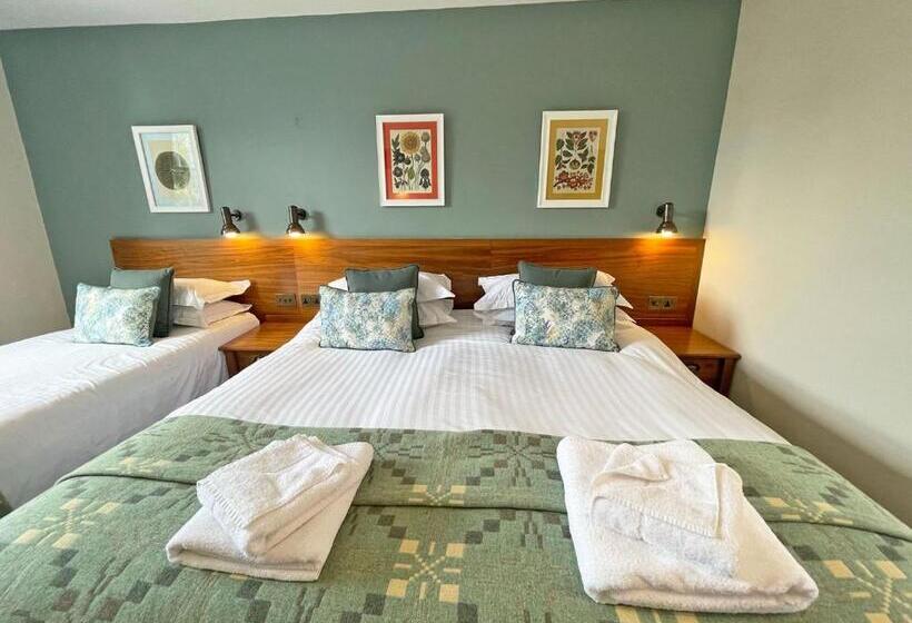 غرفة عائلية, The Ship