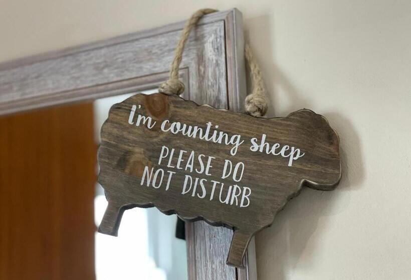 غرفة سوبيريور, The Ship