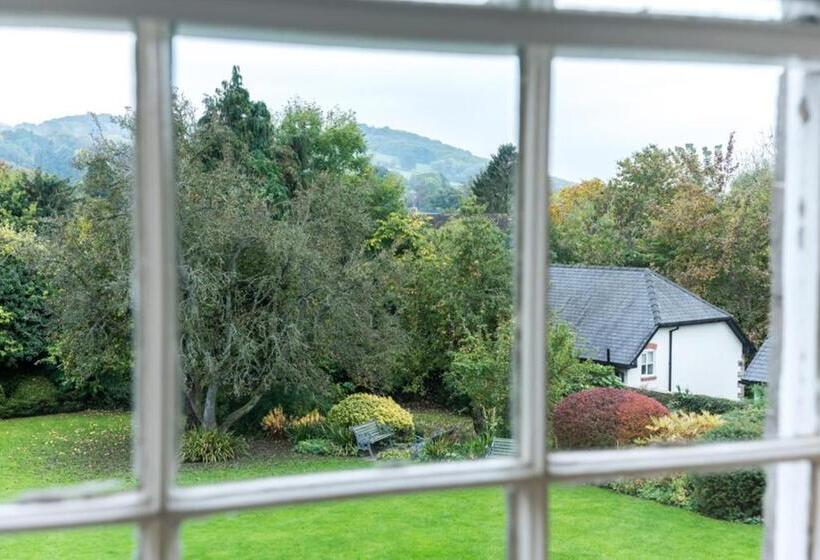 高级大房间, The Swan At Hay