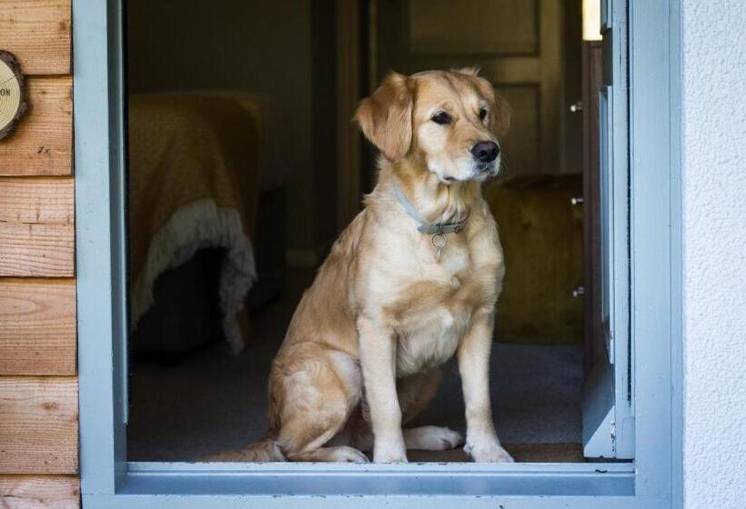 스탠다드 룸 킹사이즈 침대, The Wild Hare