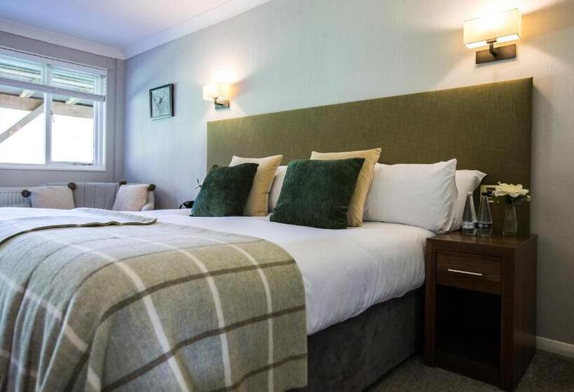 스탠다드 룸 킹사이즈 침대, The Wild Hare