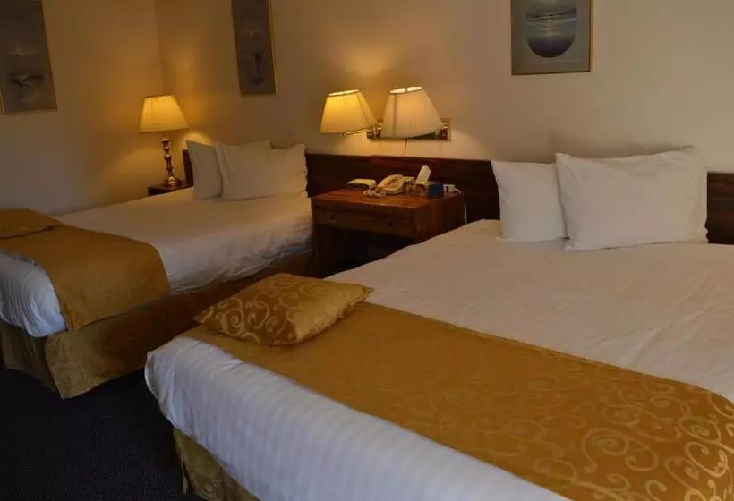 Standardzimmer, Circle 5 Motel