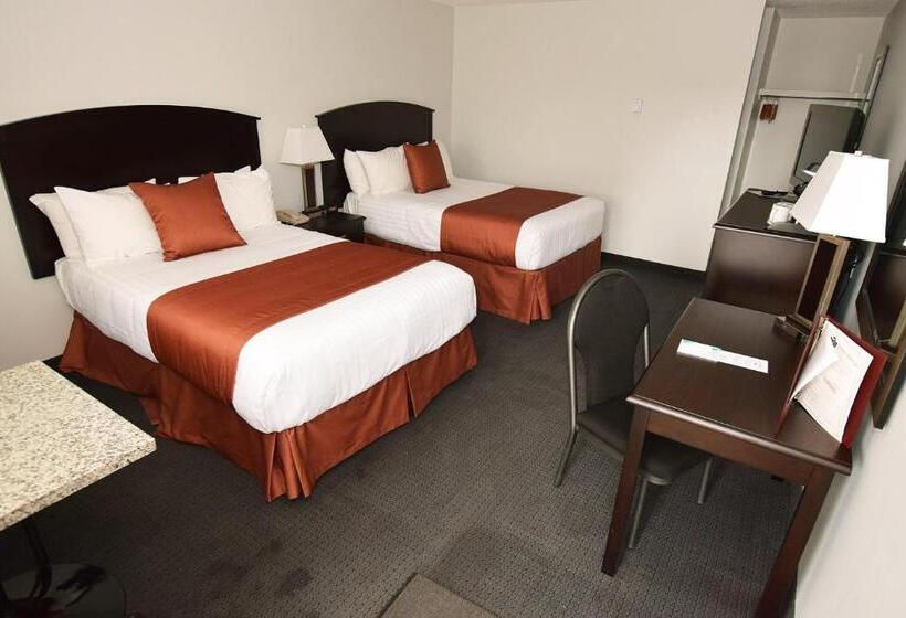 חדר סטנדרט, El Lobo Motel