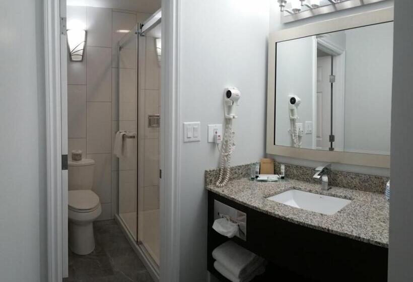 חדר סטנדרט, El Lobo Motel