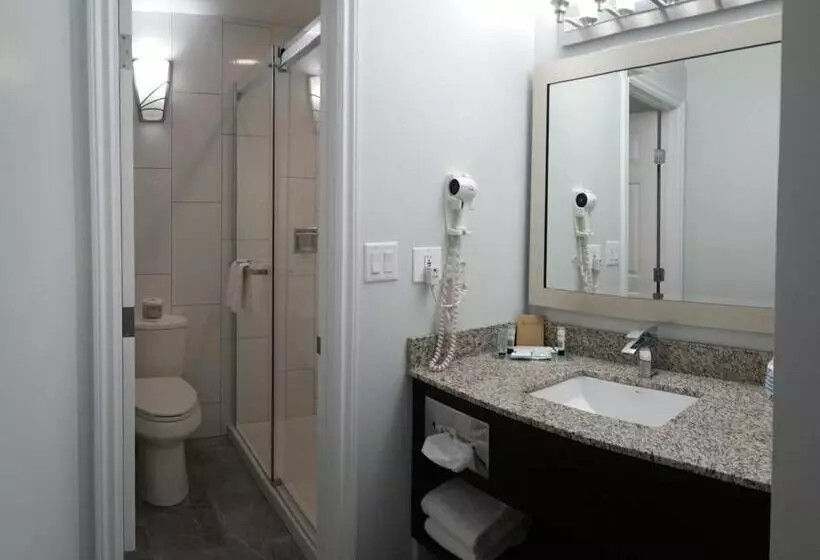 Standard-huone, El Lobo Motel