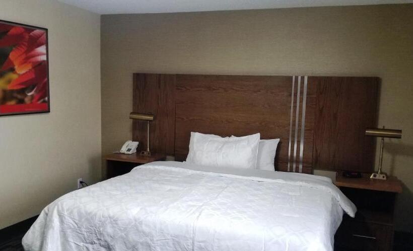 带大床的标准间, Baymont By Wyndham Montreal Airport