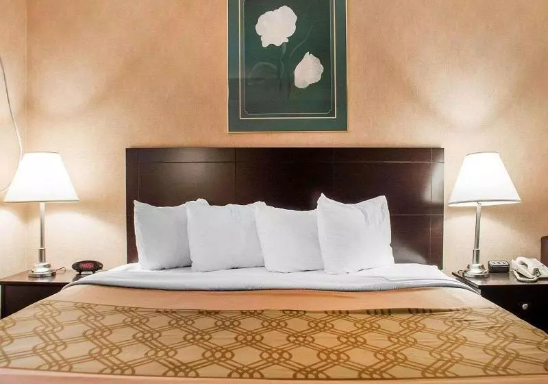 キングサイズベッドのスタンダードルーム, Woodstock Inn And Suites