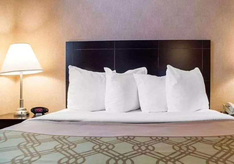 キングサイズベッドのスタンダードルーム, Woodstock Inn And Suites