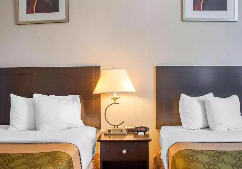 スタンダードルーム, Woodstock Inn And Suites