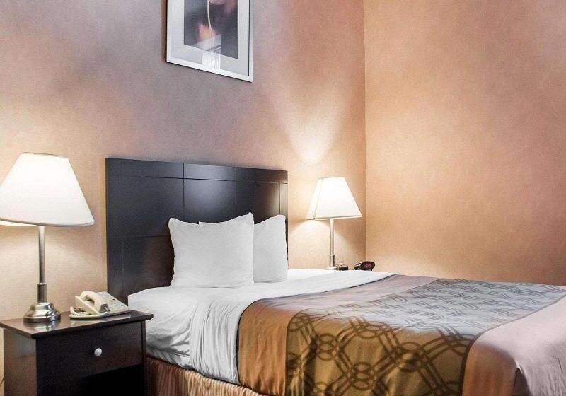 غرفة قياسية لذوى الاحتياجات الخاصة, Woodstock Inn And Suites