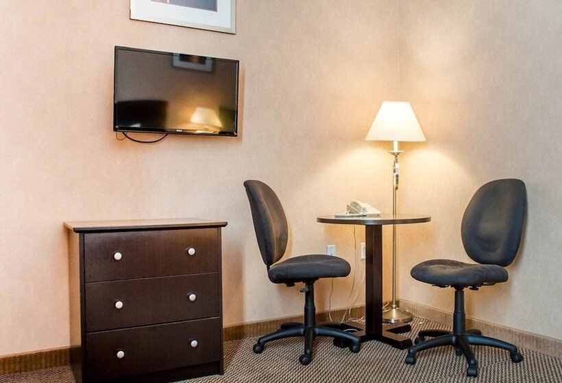 غرفه قياسيه سريرين مزدوجين, Woodstock Inn And Suites