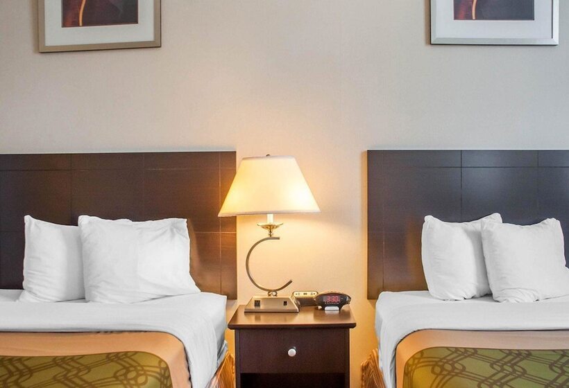 带2个双人床的标准工作室, Woodstock Inn And Suites