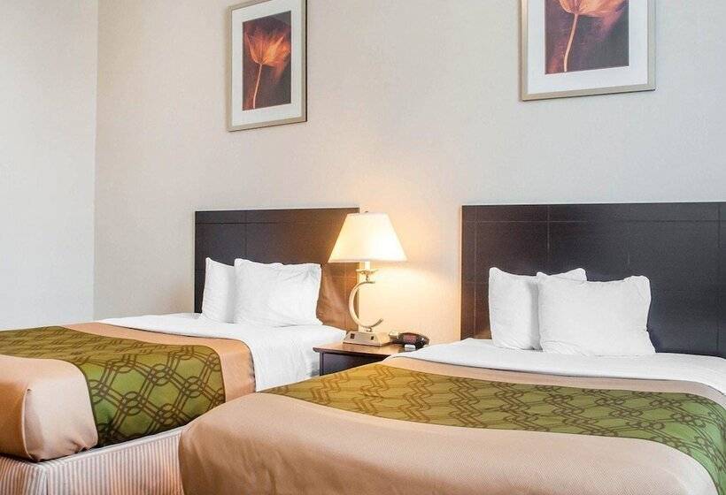 غرفه قياسيه سريرين مزدوجين, Woodstock Inn And Suites