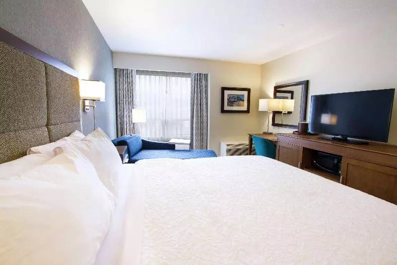 اتاق استاندارد با تخت بزرگ, Hampton Inn By Hilton Vancouver Airport/richmond