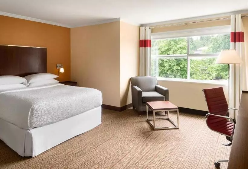 スタンダードルーム, Four Points By Sheraton Surrey