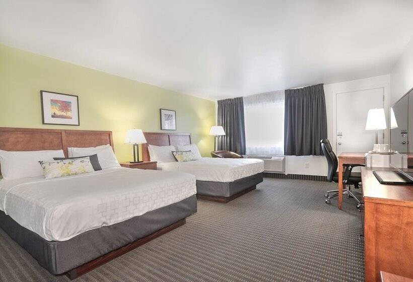 غرفه قياسيه سريرين مزدوجين, Le Victorin, An Ascend Hotel Collection Member