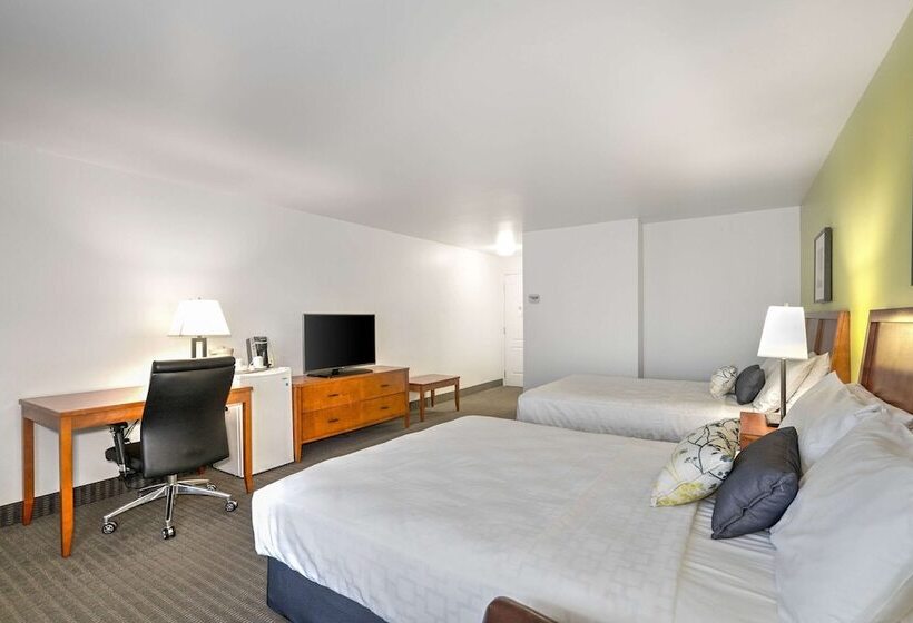 Номер Стандарт 2 Двуспальные Кровати, Le Victorin, An Ascend Hotel Collection Member