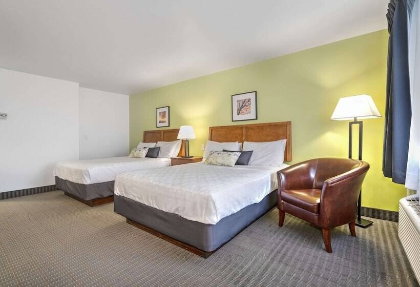 غرفه قياسيه سريرين مزدوجين, Le Victorin, An Ascend Hotel Collection Member