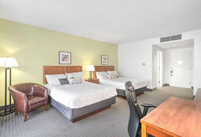 Номер Стандарт 2 Двуспальные Кровати, Le Victorin, An Ascend Hotel Collection Member