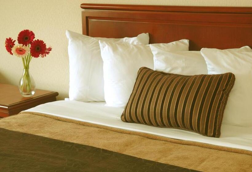 标准间, Quality Inn And Suites Montreal East