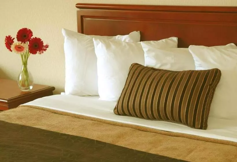 スタンダードルーム, Quality Inn And Suites Montreal East